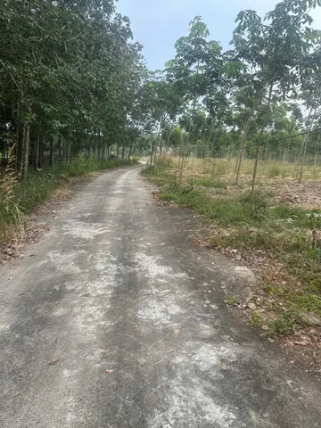 Bán Đất 5800m2 giá 725 triệu tại Đường Liên Xã Xã Minh Hưng Thị xã Chơn Thành Bình Phước