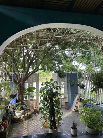 Thuê nhà view sông Cẩm Kim 📌📌📌LÀM VIỆC TRỰC TIẾP GIÁ TỐT !!!