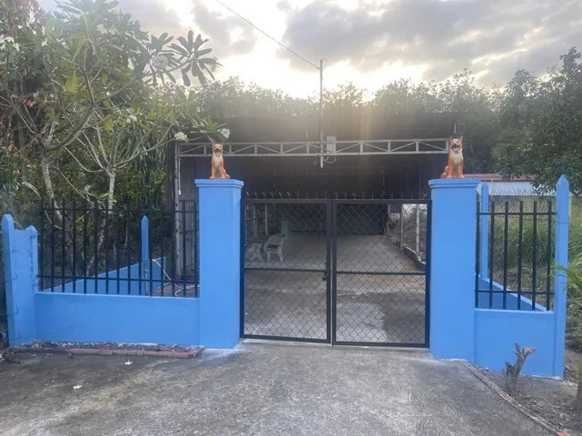 Bán Đất 353m2 có sẵn 300 m2 thổ cư giá 9.2 tỷ tại Đường Phạm Văn Cội Xã Phạm Văn Cội Huyện Củ Chi TP. Hồ Chí Minh
