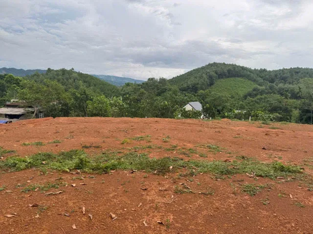🔥 RẺ GIẬT MÌNH – 1.585M² ĐẤT ĐẸP TẠI TÂN LẠC, GIÁ CHỈ 5XX TRIỆU! 💎 #8