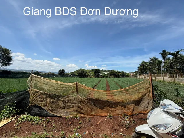 Bán Đất 300m2 có sẵn 145 m2 thổ cư giá 799 triệu tại Xã Đạ Ròn Huyện Đơn Dương Lâm Đồng