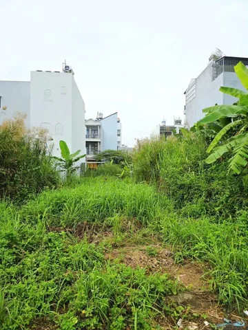 🌴 Bán Đất 107m2 có sẵn 107 m2 thổ cư giá 6.2 tỷ tại Đường Bưng Ông Thoàn Phường Phú Hữu Quận 9 TP. Hồ Chí Minh.