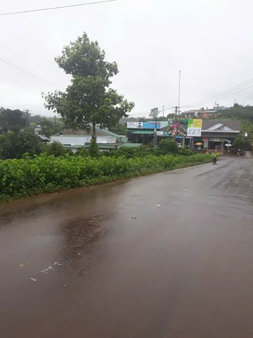 Bán giá 11 tỷ tại Đường Lý Thái Tổ Xã phường 2 Bảo Lộc Thành phố Bảo Lộc Lâm Đồng