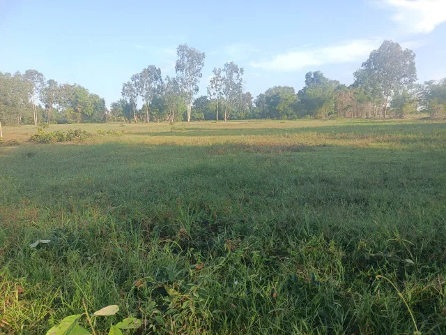 Bán Đất 3800m2 giá 1 tỷ tại Tổ 9, Khóm  Xuân Hiệp, Phường Tịnh Biên, tỉnh An Giang - Chọn - Phường Tịnh Biên An Giang