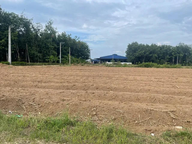 Bán Đất 1017m2 có sẵn 100 m2 thổ cư giá 210 triệu tại Đường ĐT 741 Xã Tân Lợi Huyện Đồng Phú Bình Phước