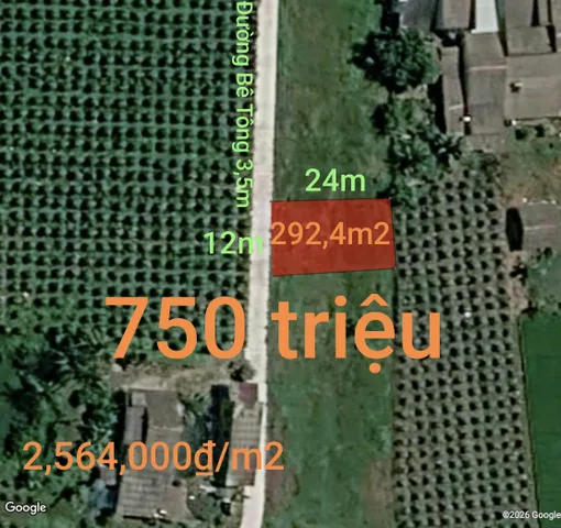 Bán Đất 292.4m2 có sẵn 292.4 m2 thổ cư giá 750 triệu tại Xã Phú Ngãi Trị Huyện Châu Thành Long An