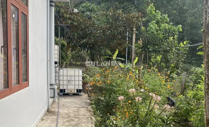 Bán đất 15306m² ngang 100m giá 8.1 đ tại Xã Diên Lâm Huyện Diên Khánh