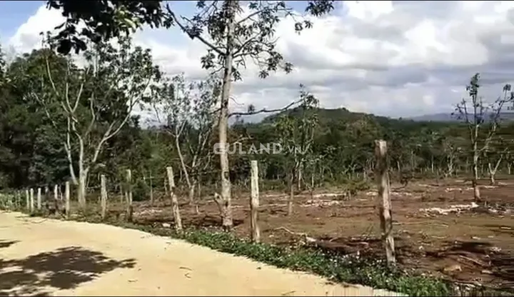 Bán Đất 9700m2 giá 10.69 tỷ tại Xã Hòa Thắng Thành phố Buôn Ma Thuột Đắk Lắk