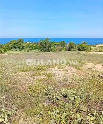 Đại Hạ Giá-Đất Kê Gà-Tân Thành(Hàm Thuận Nam cũ)-Lâm Đồng-Hơn 2 Ha