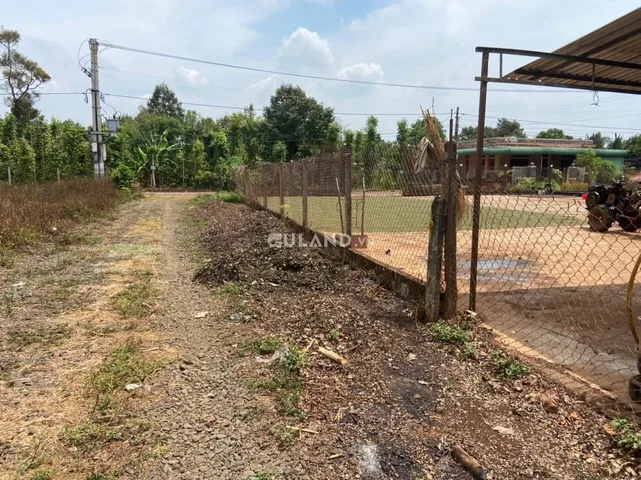ĐẤT THÔN 3 CƯ SUÊ GIÁ RẺ