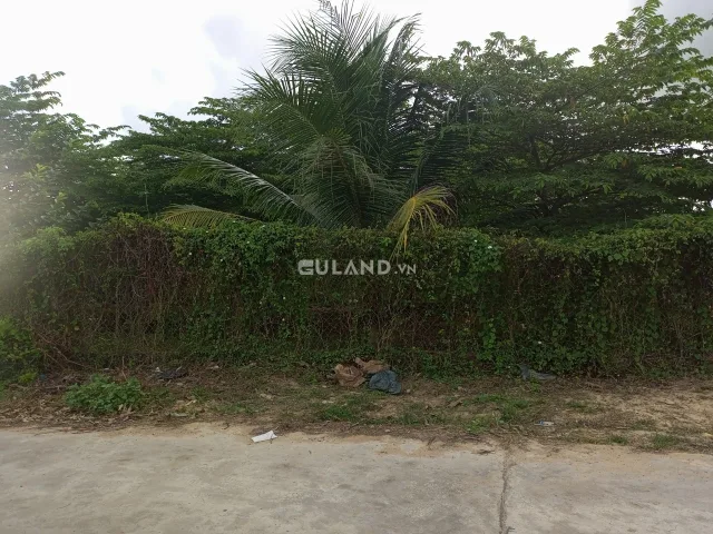 Đất Tân Quang Ninh Quang chủ cắt bán Dt: 6x25 có 60tc Hiện trạng đường bê tông 5m, cách trục chính 20m, khu dân cư đông đúc Giá 4xxtr Lh: 0938156791 gặp e hiếu dẫn xem đất
