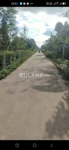 10*38 TC 60 GIÁ BÁN 520 ( ĐÃ GIẢM GIÁ)