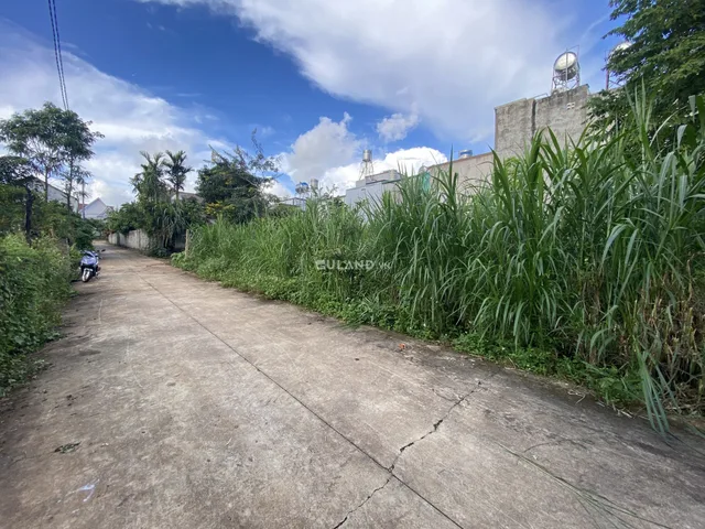 Bán đất 425m² có sẵn 60m² thổ cư ngang 25m giá 4.5 tỷ tại Xã Cư ÊBur Thành phố Buôn Ma Thuột