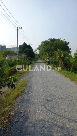 BÁN 1108M2 ĐƯỜNG 151 BÌNH MỸ CỦ CHI GẦN ĐƯỜNG VÀNH ĐAI 3