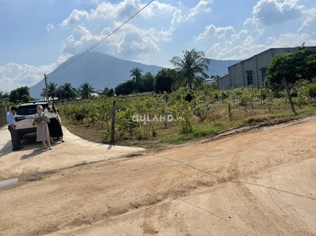 Chính chủ Bán 2 lô đất hàng ngộp giá chỉ 4xx