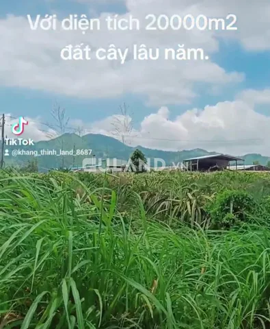 Bán đất mẫu nông nghiệp có điện nước đầy đủ, gần đường QL1
