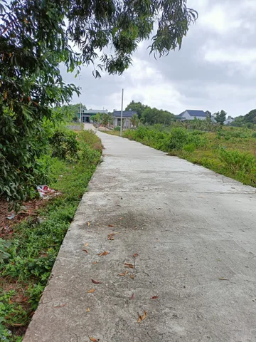 Bán đất nông nghiệp mặt tiền đường bê tông có 85m mặt tiền đường bê tông