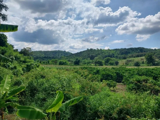 1000mv giảm 2.4 còn 2 Tỷ tại hoà khánh, đất view đẹp