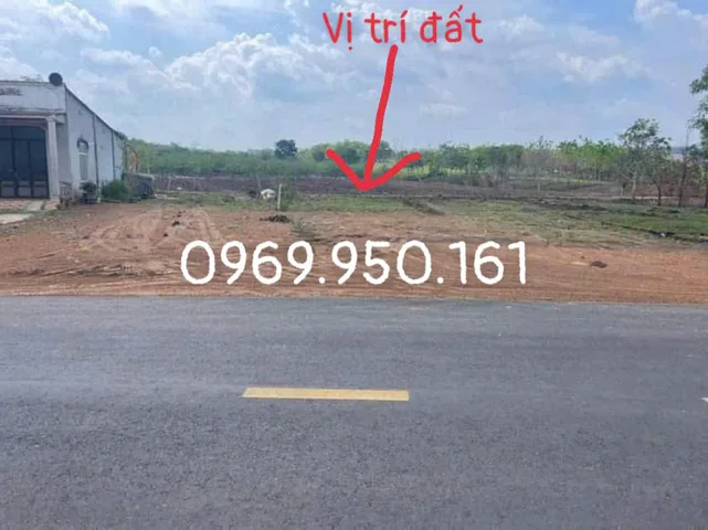 Bán đất 1.000m² chính chủ tại Xã Thanh Phú Thị xã Bình Long