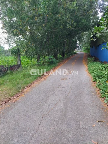 (L345) Đất đường Nguyễn Thị Ny (1/Tỉnh Lộ 8), xã Tân Thạnh Tây,  dt 207m2, chỉ 2 tỷ 550