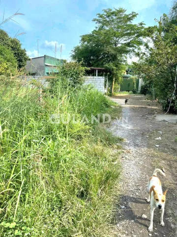 (S306) Đất 1/Nguyễn Văn Khạ, xã Phú hÒa Đông, dt 188m2, chỉ 1 tỷ 550