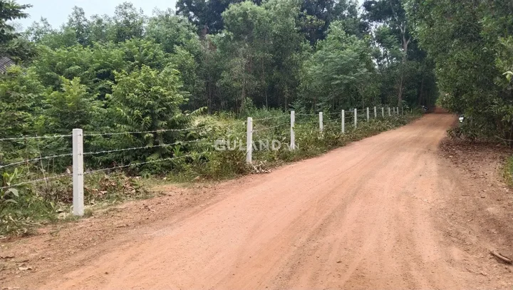 Bán 2400m² đất nông nghiệp có quy hoạch đất ở ONT và 105m mặt tiền đường đất rộng 5m