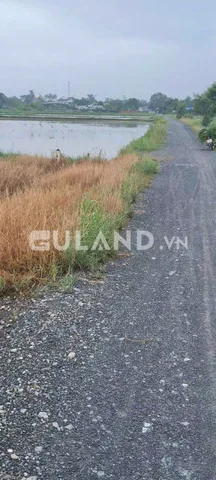(L430) (Đã bán)  Đất cây nông nghiệp khác,  gần Bến Than, xã Tân Thạnh Đông, dt 2000m2, chỉ 3 tỷ 200