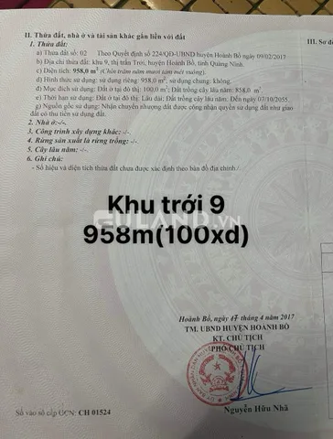 Đất Biệt Thự Nhà Vườn - Khu Trới 9