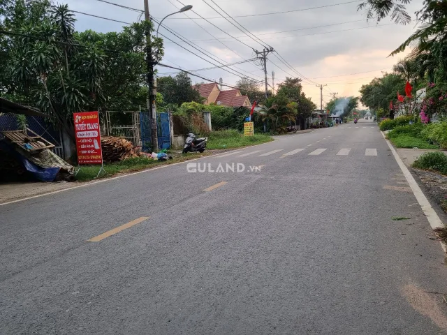 (L363)  (Đã bán ) Đất mặt tiền đường Nguyễn Kim Cương, xã Tân Thạnh Đông, dt 243m2, chỉ 4 tỷ 700