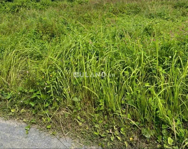 (B336) Đất gần đường Bình Mỹ, xã Bình Mỹ, dt 1233m2, thổ cư 300m2, đất ở ONT, chỉ 6 tỷ