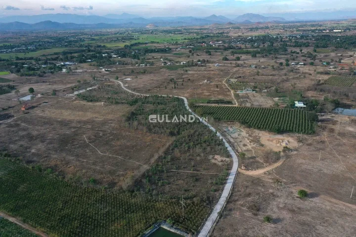 Bán Vườn Thanh Long diện tích 430000m² - 105 tỷ tại Xã Hồng Liêm Huyện Hàm Thuận Bắc