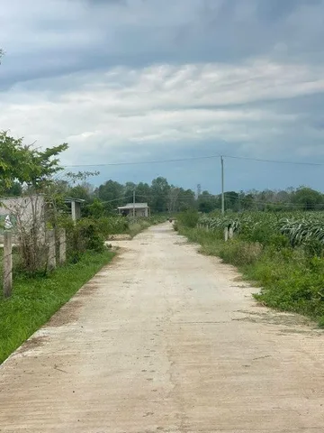 Bán Vườn Thanh Long diện tích 430000m² - 105 tỷ tại Xã Hồng Liêm Huyện Hàm Thuận Bắc