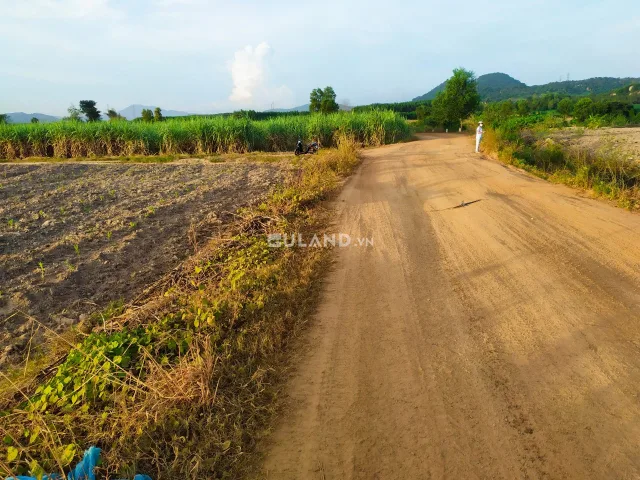 Bán 4 sào đất nông nghiệp có đường quy hoạch nhựa đi ngang