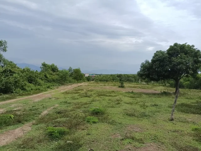 Bán  đất nông nghiệp 60000m² , giá 15 tỷ tại, Xã Ninh Thọ, Thị xã Ninh Hòa, Khánh Hòa