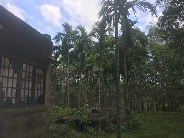Bán đất 7695m² ngang 27m giá 27 tỷ tại Xã Phước Khánh Huyện Nhơn Trạch