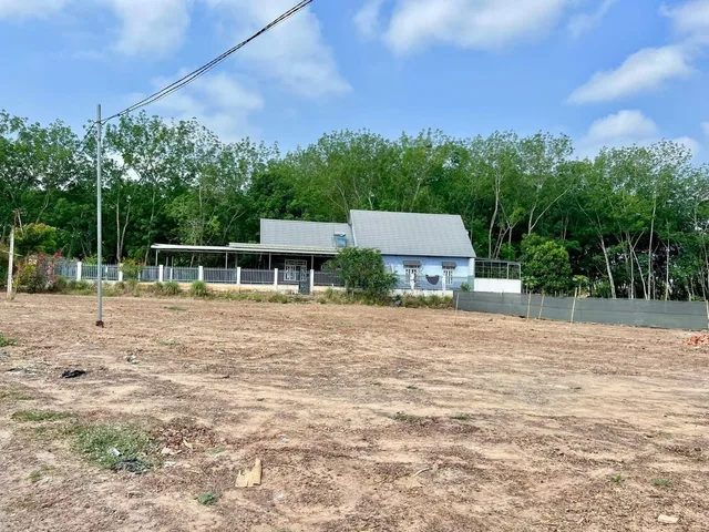 BÁN 1.000M2 CÓ ĐK 200M2 TC SHR GIÁ 260 TRIỆU, DÂN ĐÔNG GẦN TỈNH LỘ