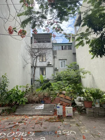BÁN ĐẤT SAU CÂY XĂNG CAO XANH,HẠ LONG