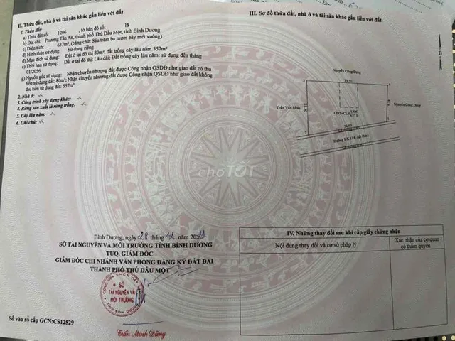 CC Bán đất ở có sẵn vườn măng cụt