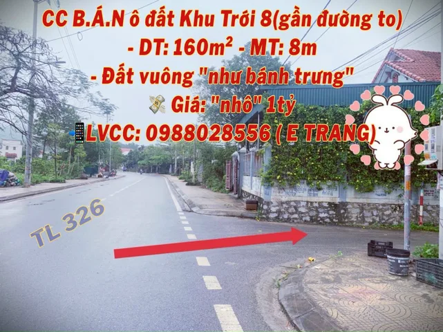 ĐẤT THỔ CƯ KHU TRỚI 8 - HOÀNH BỒ