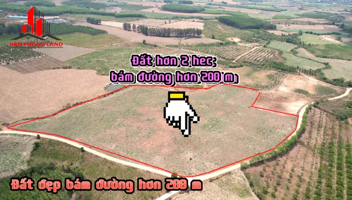 2 hec 2.5 tỷ đã trồng cây sẵn 469