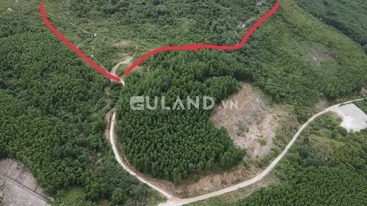Bán  đất nông nghiệp 80000m² , giá 15.2 tỷ tại, Xã Ninh Tân, Thị xã Ninh Hòa, Khánh Hòa