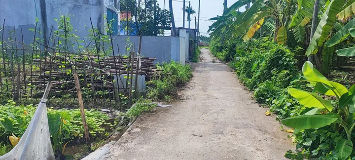 Bán đất 63m² 950 triệu tại Xã Thiên Hương Huyện Thuỷ Nguyên. liên hệ 0362558882