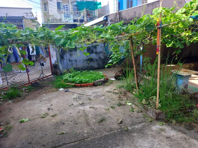 🔥🔥 Nhà vườn Đ.6m 154m², Nở hậu – Tô Ký HM