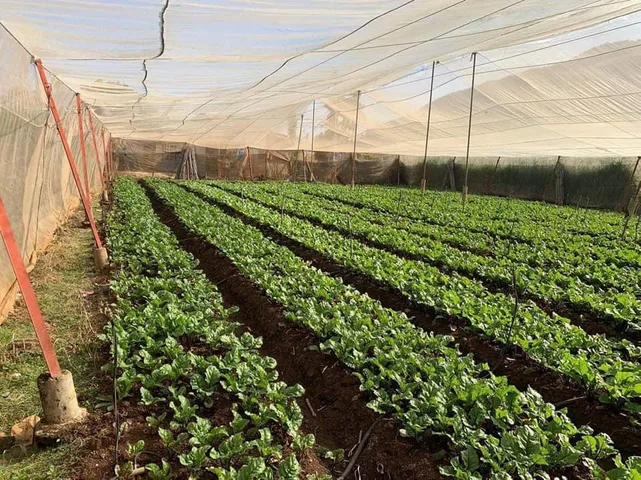 Bán Đất 4000m2 giá 6 tỷ tại Đường Quốc Lộ 27 Xã Hiệp Thạnh Huyện Đức Trọng Lâm Đồng